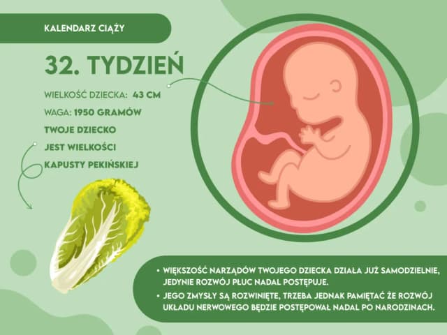 Waga dziecka w 32 tygodniu ciąży: Zaskakujące fakty o rozwoju płodu